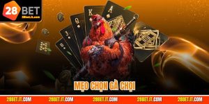 Mẹo chọn gà chọi chuẩn – Cách tìm chiến kê khỏe và gan lì