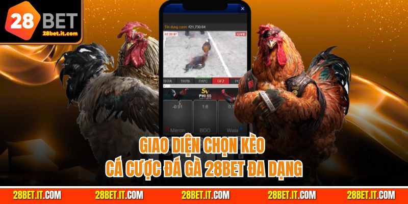 Giao diện chọn kèo cá cược đá gà 28Bet đa dạng