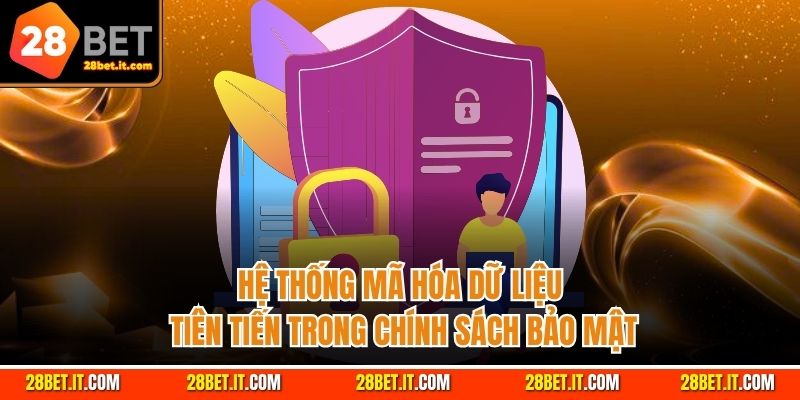 Hệ thống mã hóa dữ liệu tiên tiến trong chính sách bảo mật