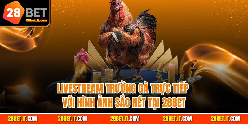 Livestream trường gà trực tiếp với hình ảnh sắc nét tại 28Bet